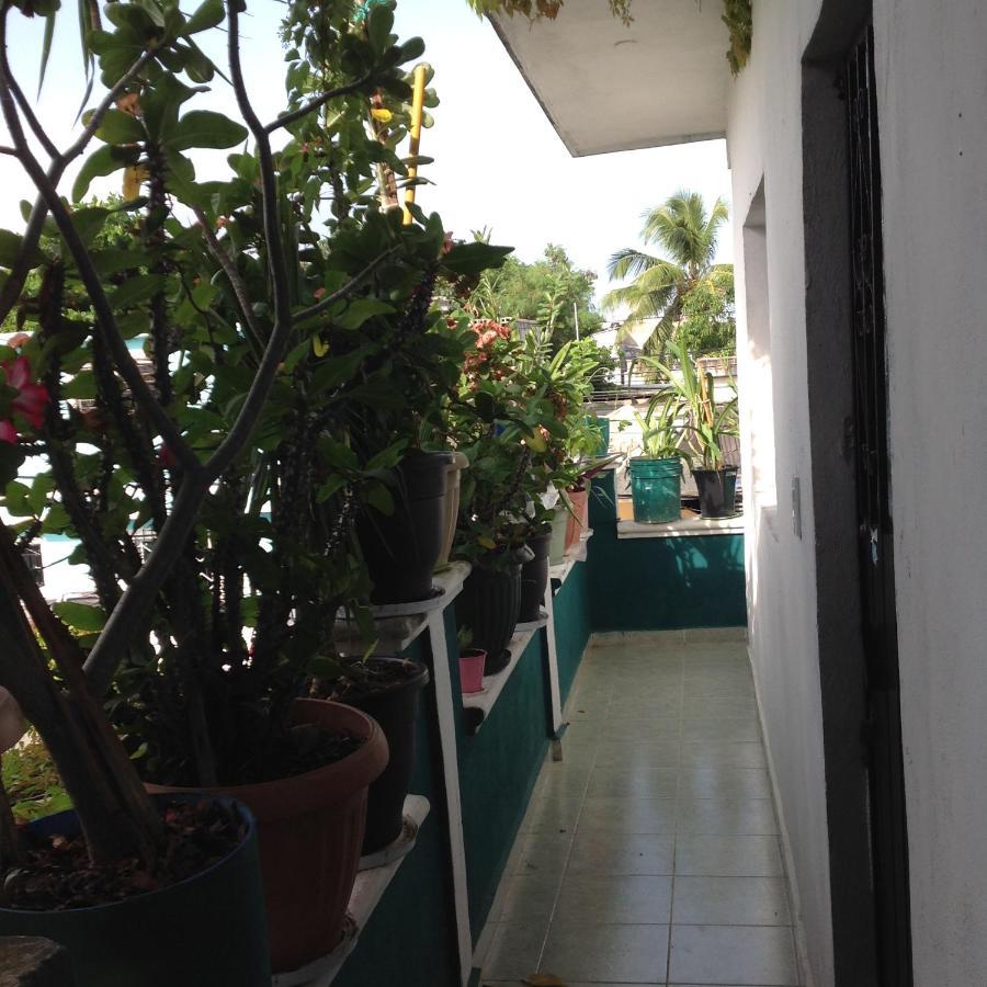 Alojamiento Ya'Ax Nah Playa del Carmen Zewnętrze zdjęcie