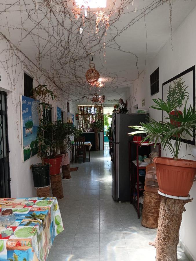 Alojamiento Ya'Ax Nah Playa del Carmen Zewnętrze zdjęcie